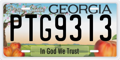 GA license plate PTG9313