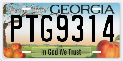 GA license plate PTG9314