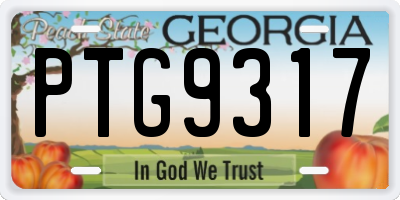 GA license plate PTG9317