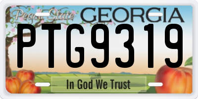 GA license plate PTG9319