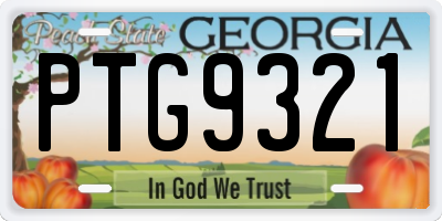 GA license plate PTG9321