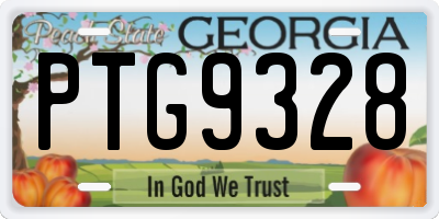 GA license plate PTG9328