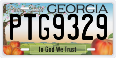 GA license plate PTG9329