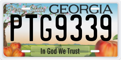 GA license plate PTG9339
