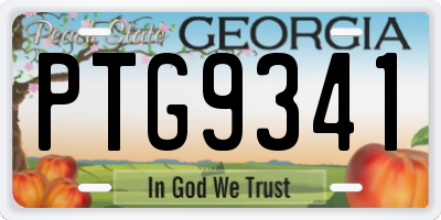 GA license plate PTG9341