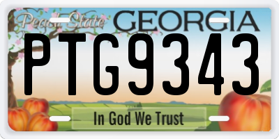 GA license plate PTG9343