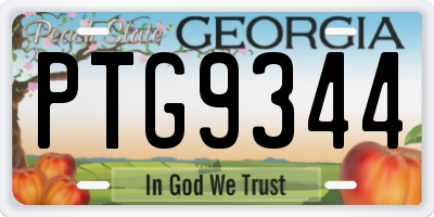 GA license plate PTG9344