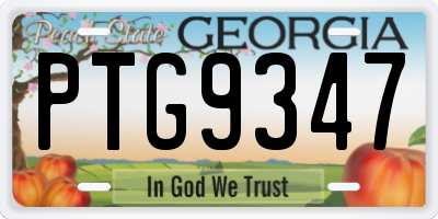 GA license plate PTG9347