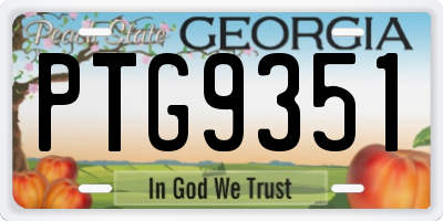 GA license plate PTG9351
