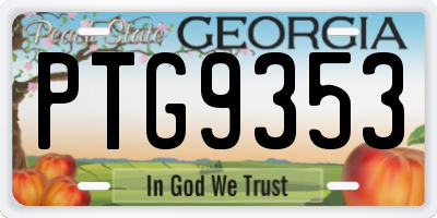GA license plate PTG9353