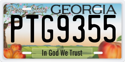 GA license plate PTG9355