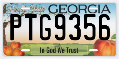 GA license plate PTG9356