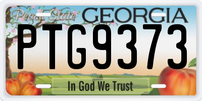 GA license plate PTG9373