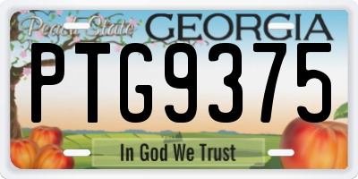 GA license plate PTG9375