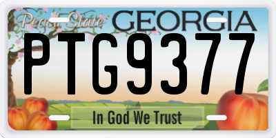 GA license plate PTG9377