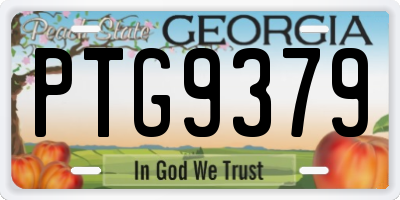 GA license plate PTG9379