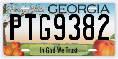 GA license plate PTG9382