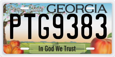 GA license plate PTG9383