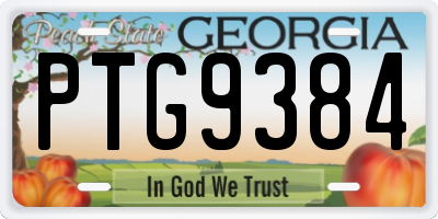 GA license plate PTG9384