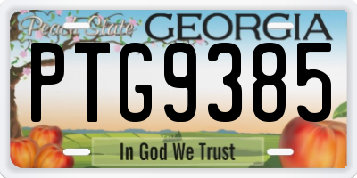 GA license plate PTG9385