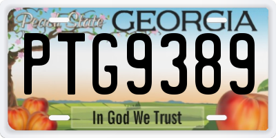 GA license plate PTG9389
