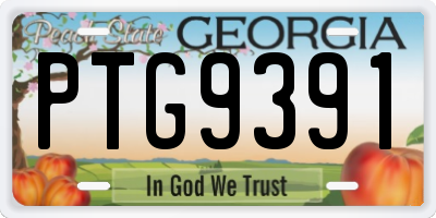 GA license plate PTG9391