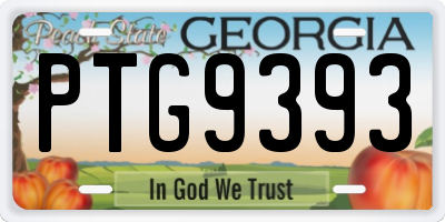 GA license plate PTG9393