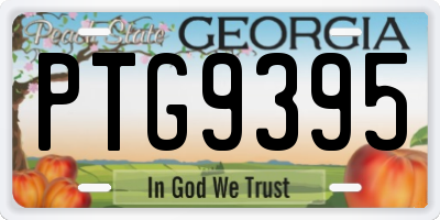 GA license plate PTG9395