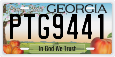 GA license plate PTG9441