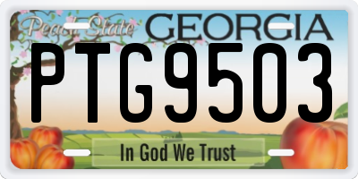 GA license plate PTG9503