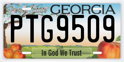 GA license plate PTG9509