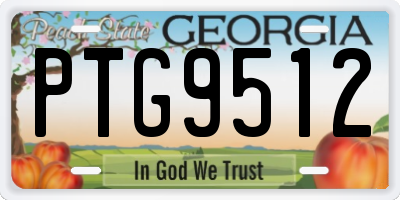 GA license plate PTG9512