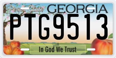 GA license plate PTG9513