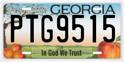 GA license plate PTG9515
