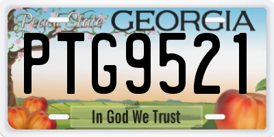 GA license plate PTG9521