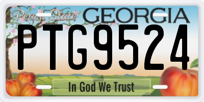 GA license plate PTG9524