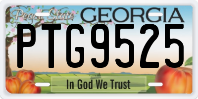 GA license plate PTG9525