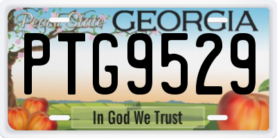 GA license plate PTG9529