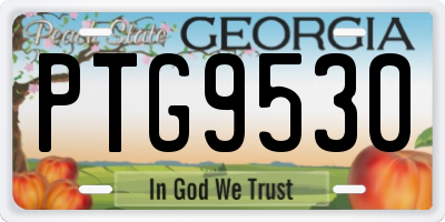 GA license plate PTG9530