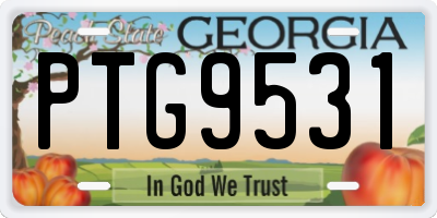 GA license plate PTG9531