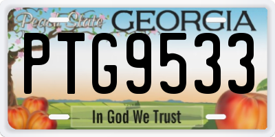 GA license plate PTG9533