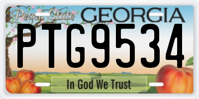GA license plate PTG9534