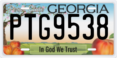 GA license plate PTG9538