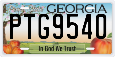 GA license plate PTG9540