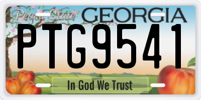 GA license plate PTG9541