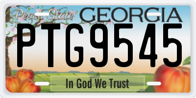 GA license plate PTG9545