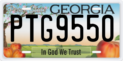 GA license plate PTG9550