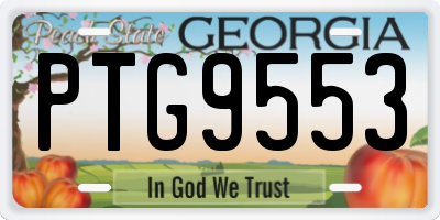 GA license plate PTG9553