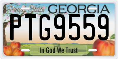 GA license plate PTG9559