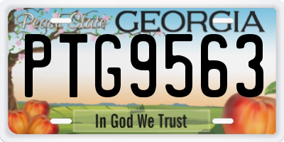 GA license plate PTG9563